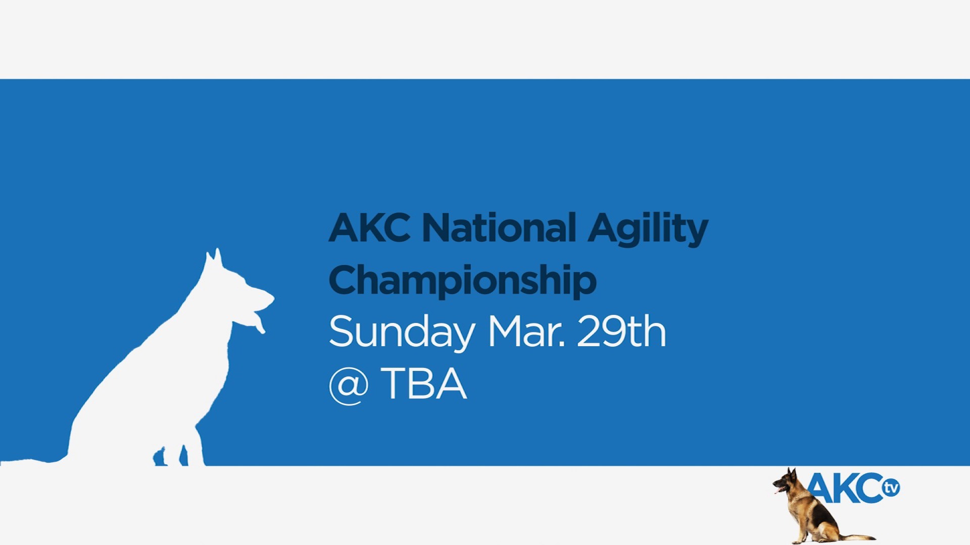 AKC.TV Sunday March 29th AKC National Agility Championship, Live