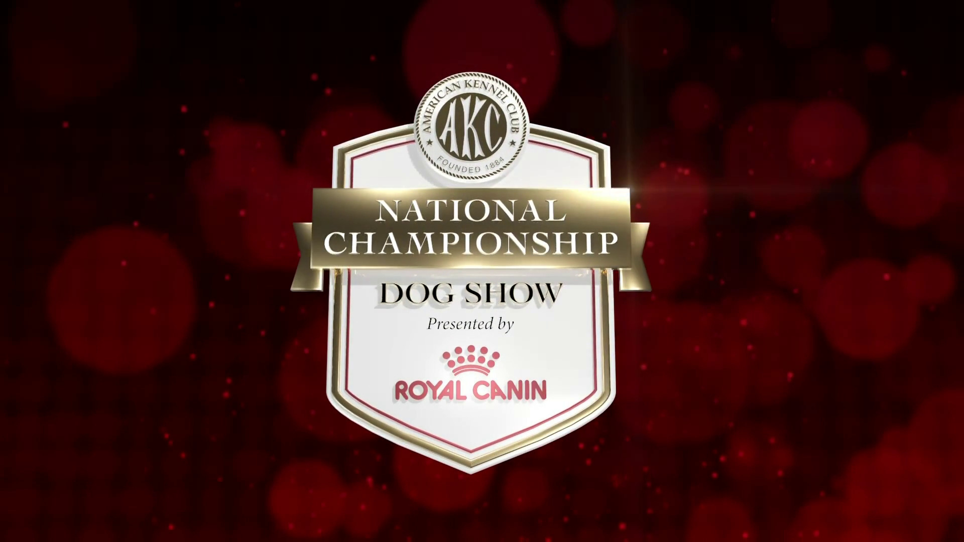 AKC.TV Full Show Saturday