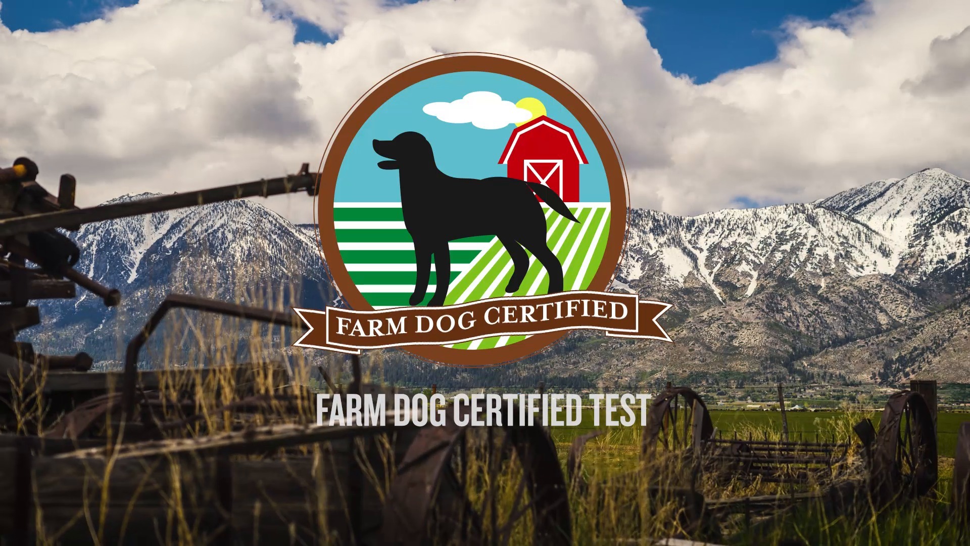 AKC TV Farm Dog Certification Test