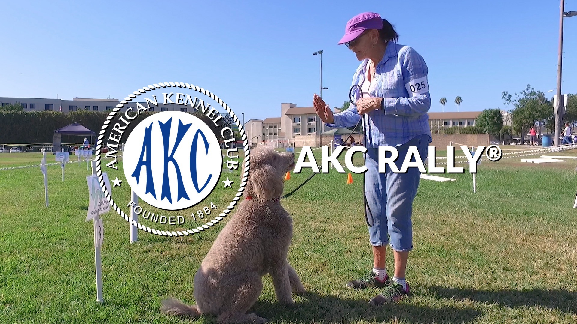 AKC.TV AKC Rally Intro to Dog Sports