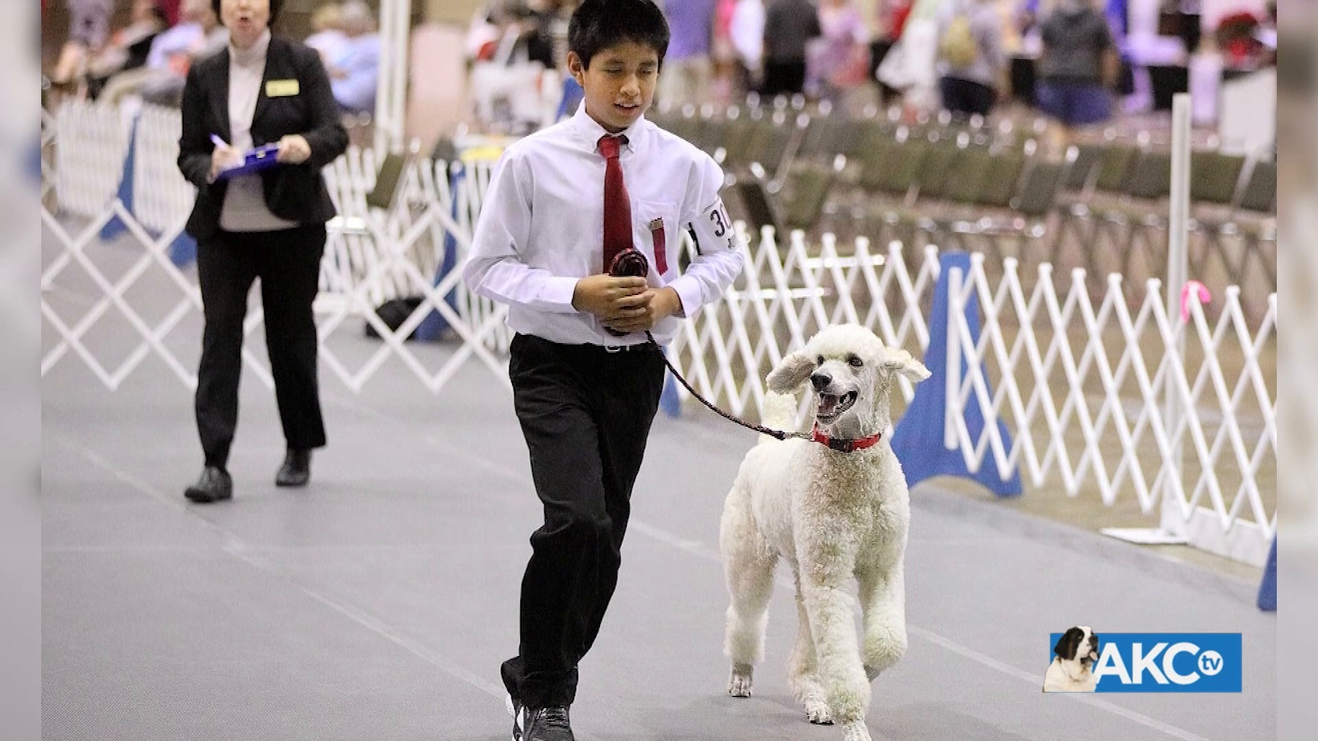 Flipboard AKC DogCenter Live from 101 Park Junior Handler Spotlight