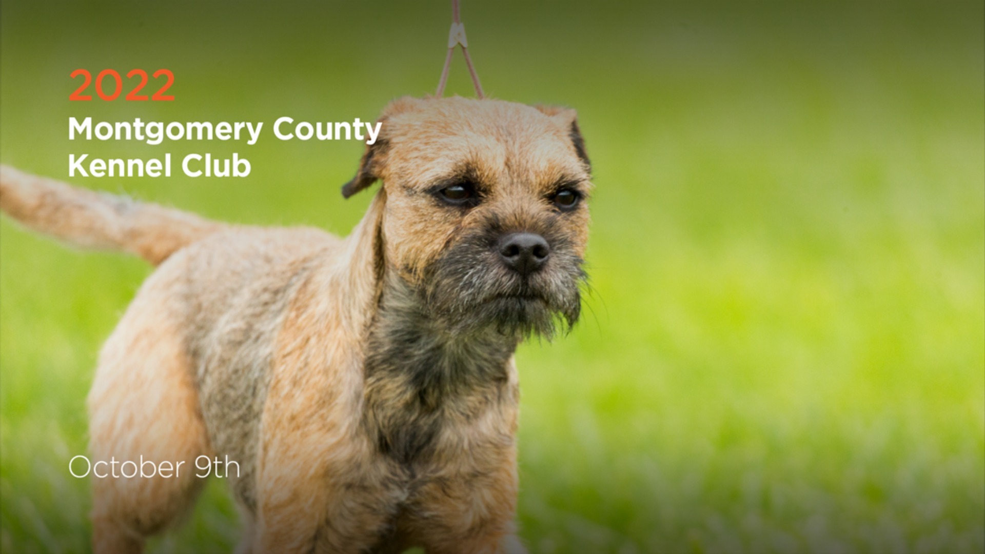 AKC.TV 2022 Montgomery County Kennel Club Dog Show