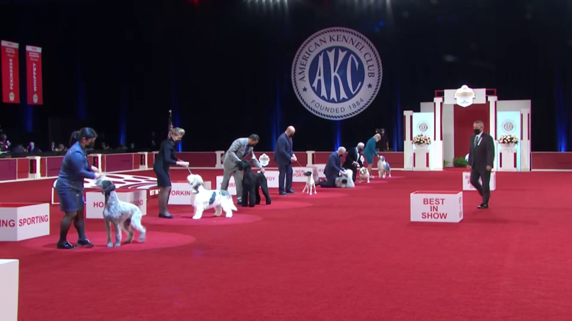 AKC National Championship presented by Royal Canin – American