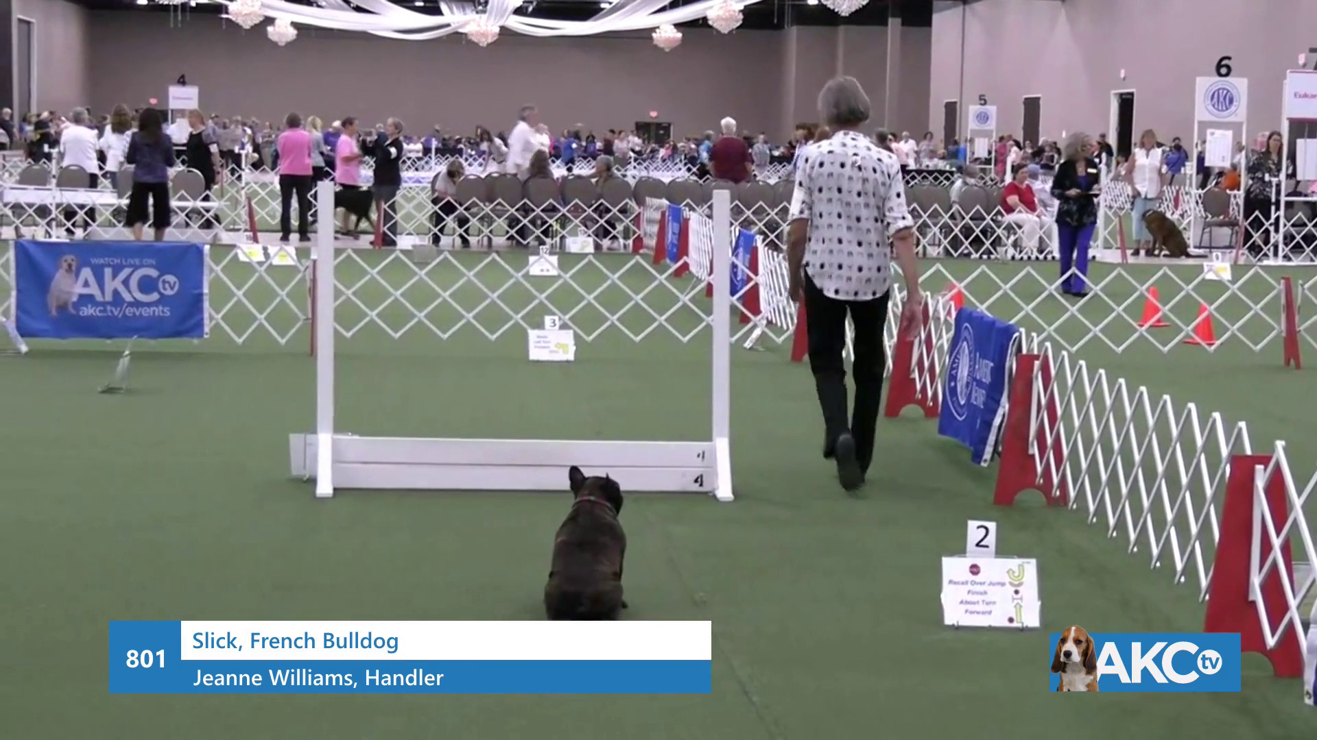 Ring 1 Rally Championship AKC.tv