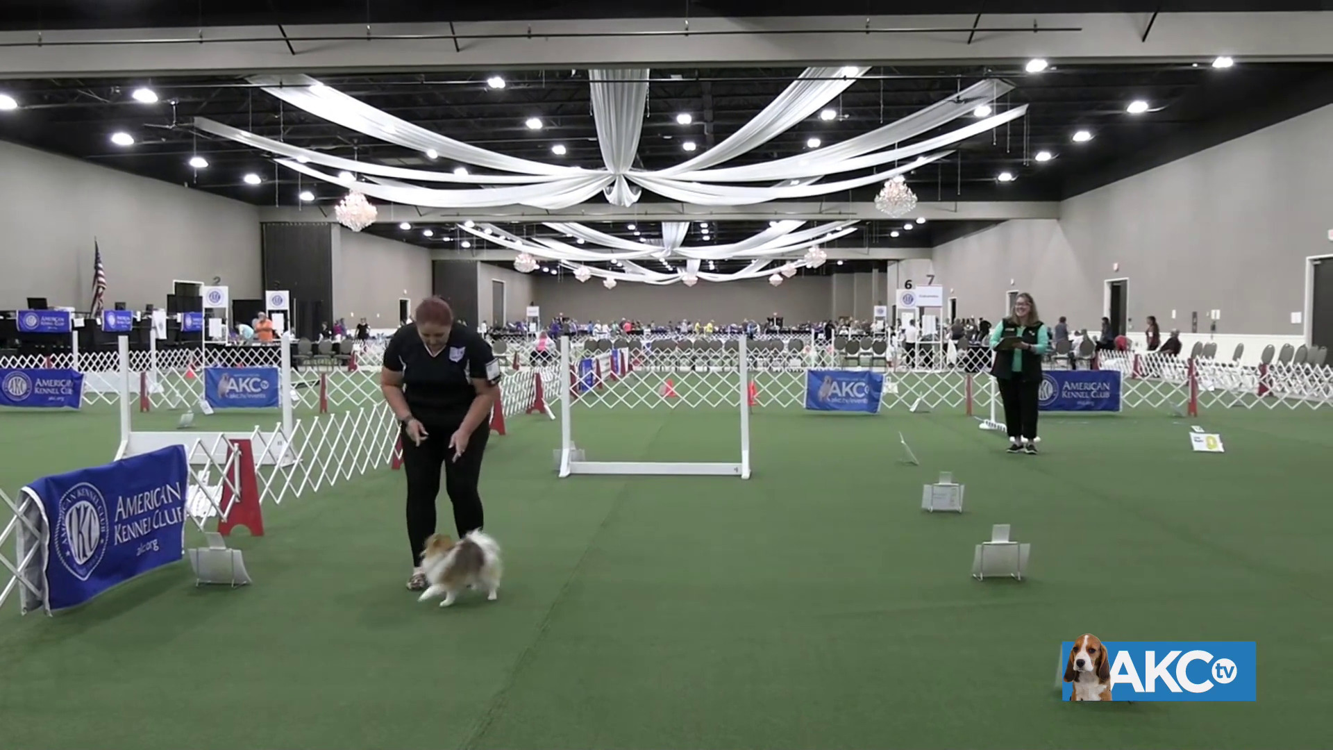 Ring 8 - Rally Excellent | AKC.tv