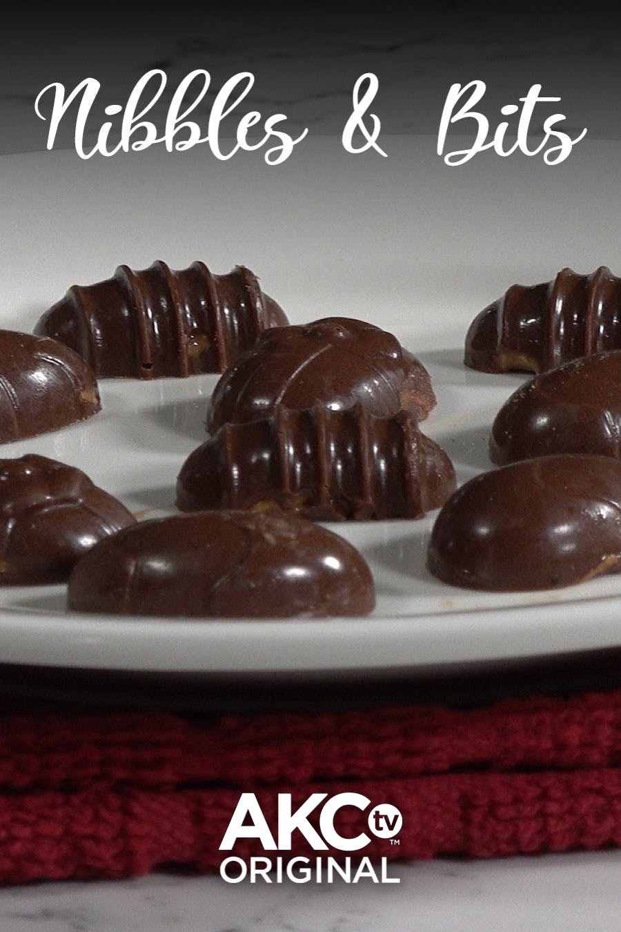 View Series & TV Shows on AKC.TV