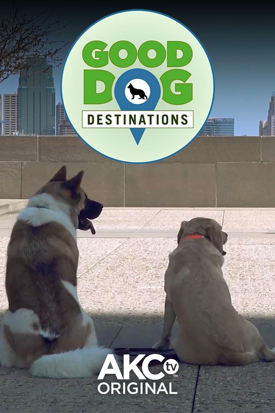 View Series & TV Shows on AKC.TV