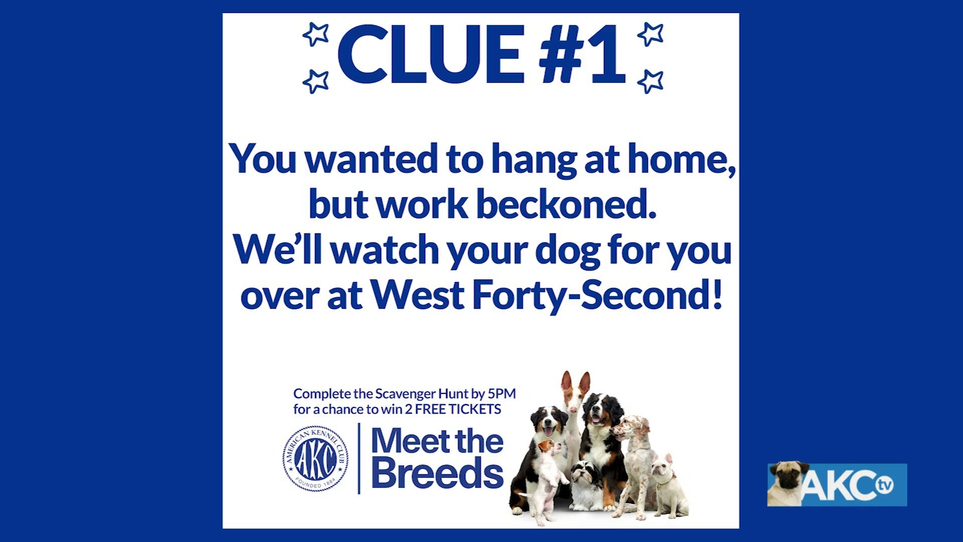 akc-meet-the-breeds-2024-american-kennel-club-48-off