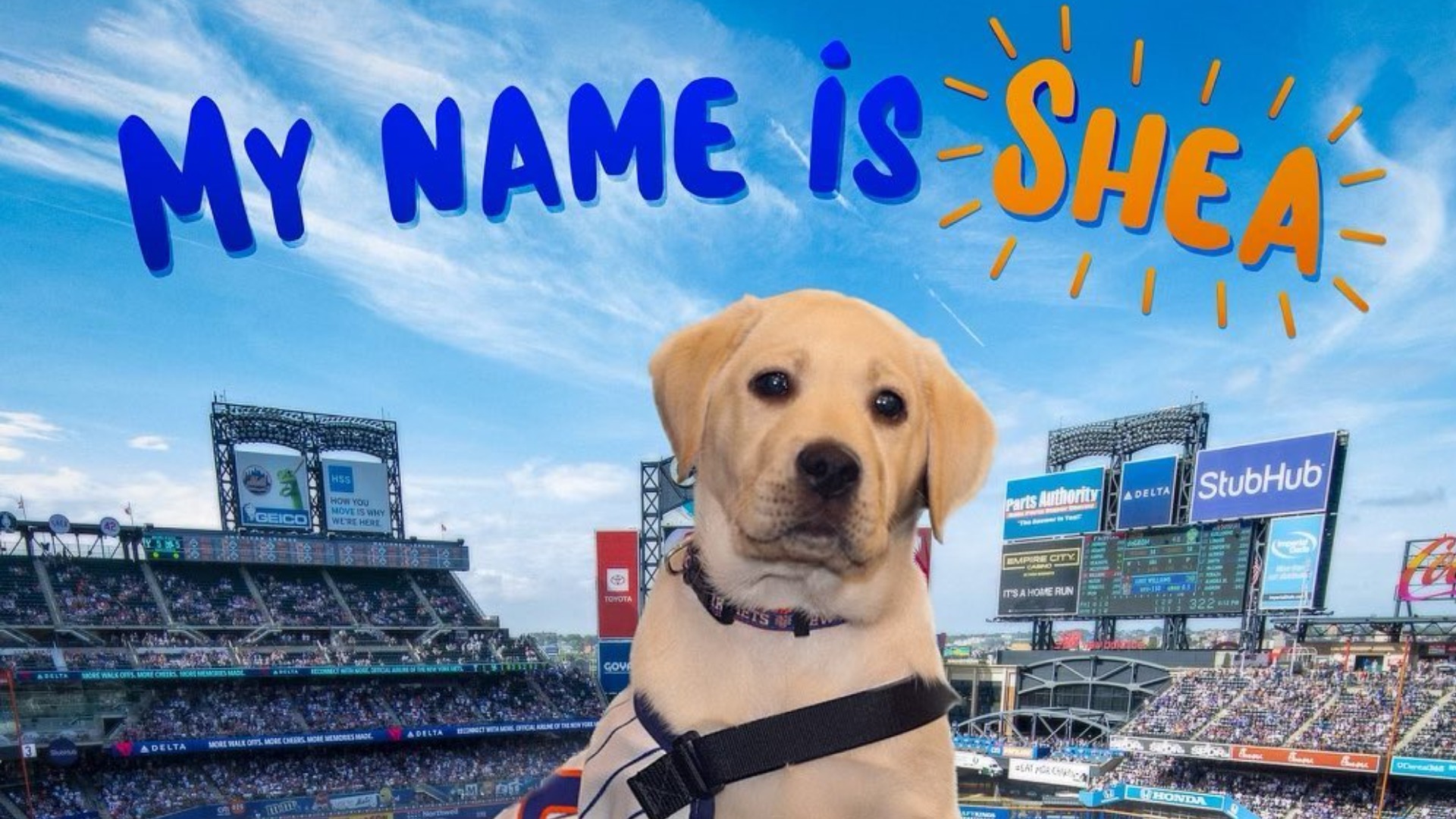 Guide Dog Raised By New York Islanders Matched with Paralympian