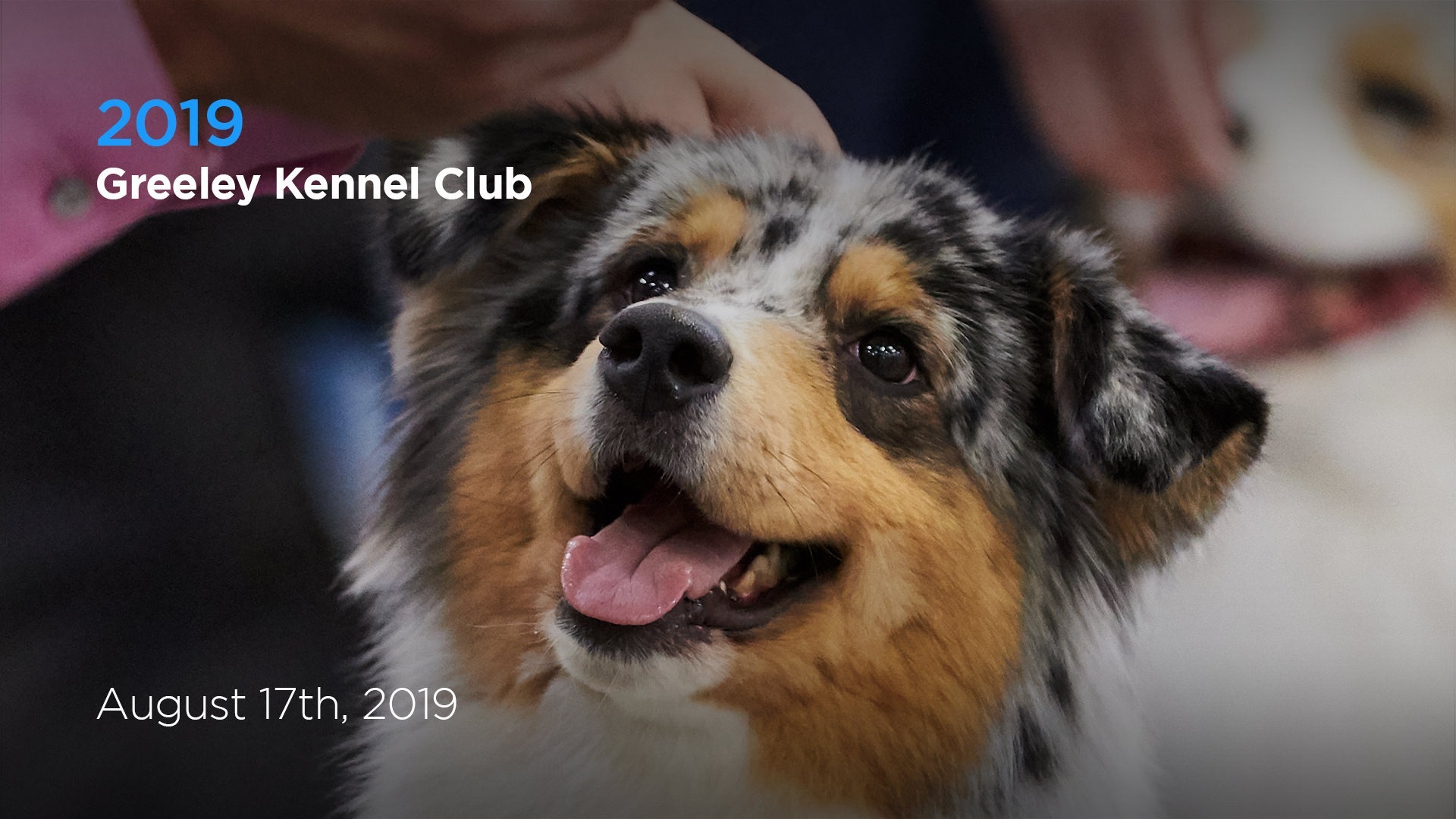 2019 Greeley Kennel Club | AKC.tv