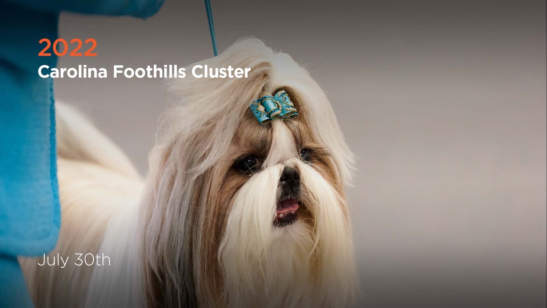 2022 Carolina Foothills Cluster AKC.tv